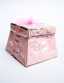 Marturie botez cutiuta roz