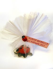 Marturie botez buburuza cu tull si personalizare