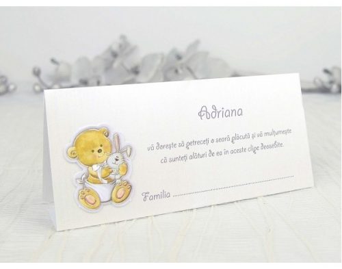 Plic De Bani Botez Ivotte Ursulet 1